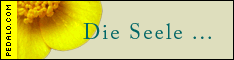 Reisepartner PEDALO