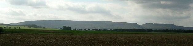 Panorama-Blick auf den Osterwald