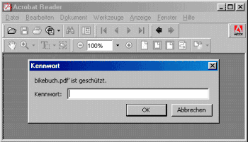 Passworteingabe in die PDF-Datei