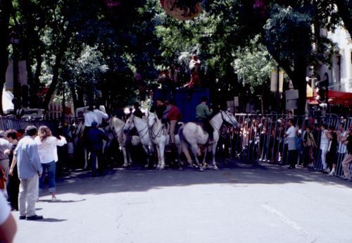 Stiertreiben im Stadtkern von Nimes