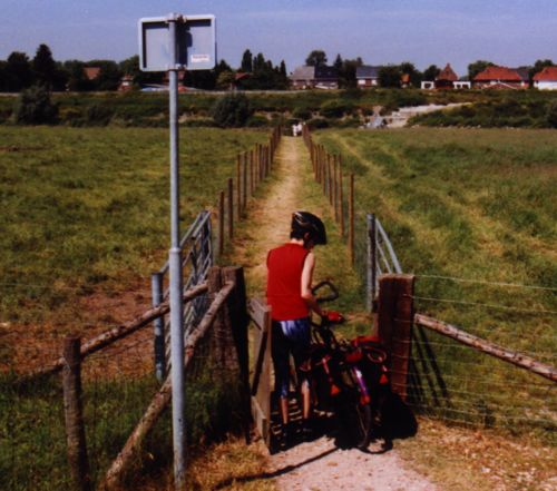 Weg zur Fähre durch Schaafwiesen