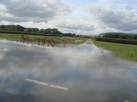 Hochwasser an der Leine