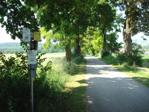 Donauradweg mit Ausschilderung