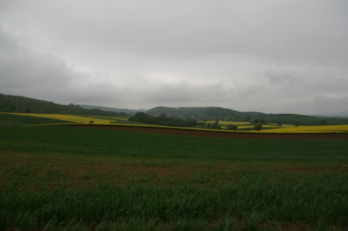 eine Aussicht bei Lüthorst