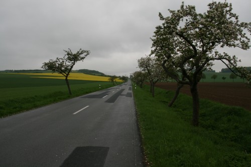 Strasse bei Dassel