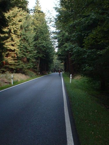 Die Strasse vom Rondell nach Schmücke