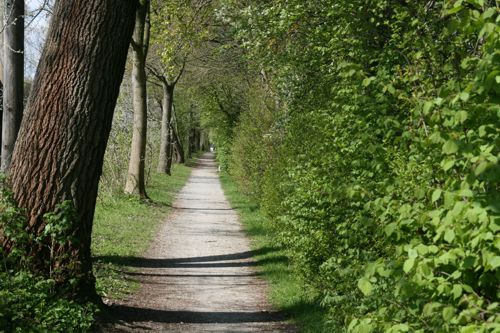 ein Stück vom Hase-Ems-Tour-Radweg