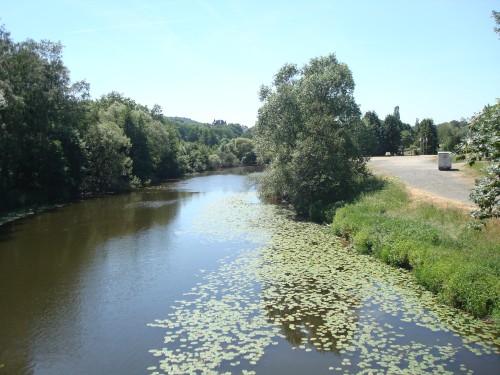 die pure Natur der Lahn