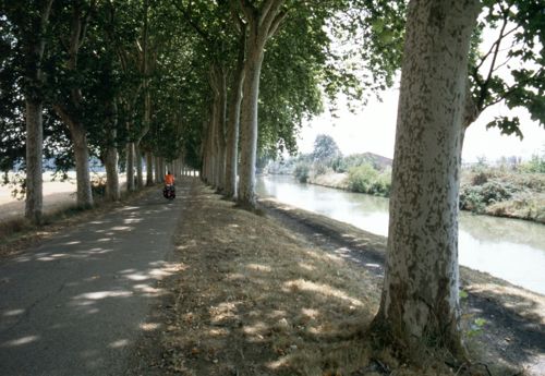 Heike auf dem Radweg