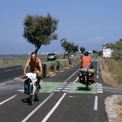 Heike auf einem Radweg