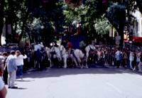 Stiertreiben im Stadtkern von Nimes