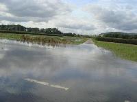 Hochwasser an der Leine