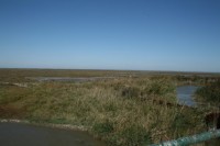 ein Blick ueber die Camargue