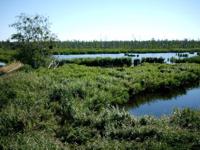 Naturschutzgebiet vor Usedom