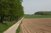 Berlebeck
