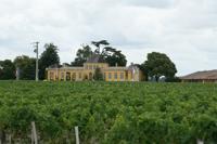 Weingut im Medoc