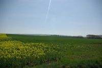 Buttelstedt und Umgebung
