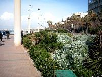 Promenade an der Playa de Palma