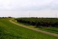 Obstwiese am Deich
