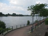 Rhein bei Rees