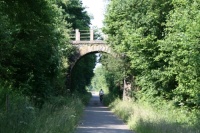 Vennbahnradweg Streckeneinblick