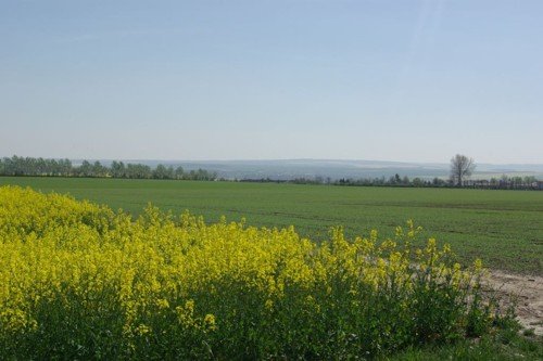 Die Umgebung von Weimar