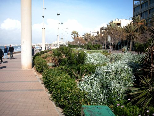 Promenade an der Playa de Palma