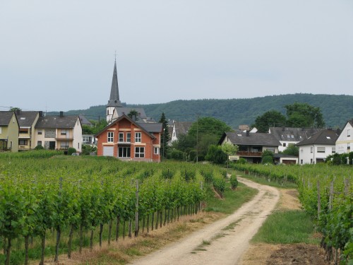 typische Landschaft mit Weinreben an der Mosel