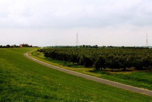 Obstwiese am Deich