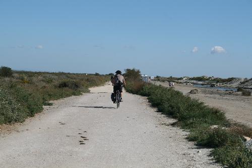 Radtour durch das Naturschutzgebiet der Camargü