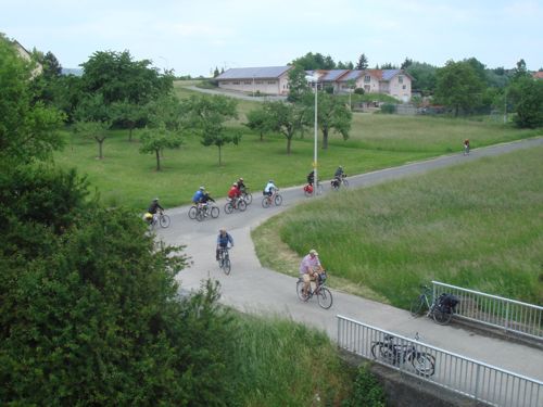 Radlergruppe am Main