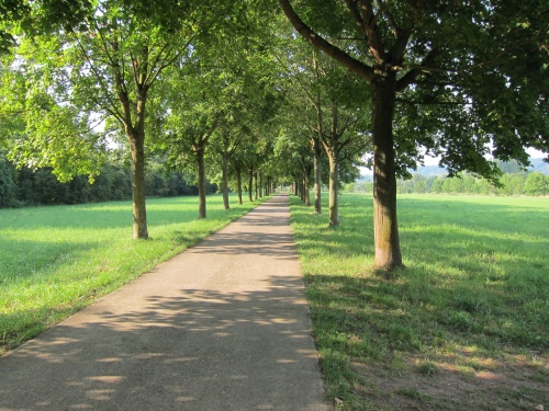 Trier-Beaune-Alleenradweg