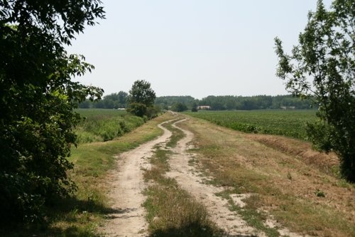 typischer Feldweg