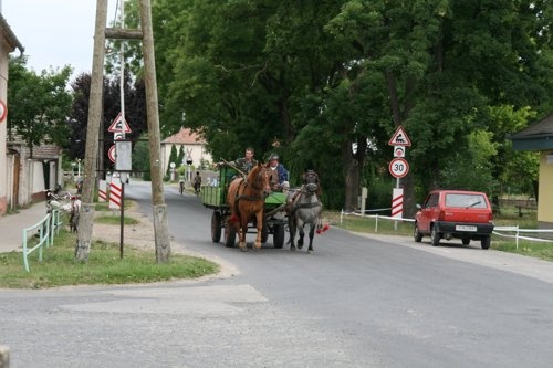 Ungarn mit Pferdewagen unterwegs