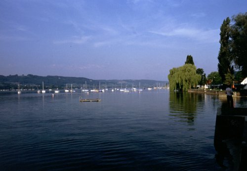 Bodensee-Blick von Wangen aus